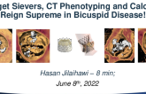 Forget Sievers, CT Phenotyping and Calcium Reign Supreme in Bicuspid Disease!