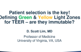 Patient Selection Is the Key! Defining the Green and Yellow "Light Zones" for Mitral TEER: Are They Immutable?
