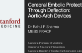 Cerebral Embolic Protection Through Deflection: Aortic-Arch Devices