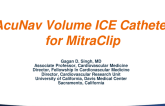 AcuNav Volume ICE Catheter for MitraClip