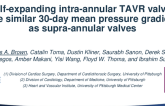 Self expanding intra annular transcatheter aortic valves have similar thirty day transvalvular gradients compared to supra annular valves