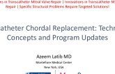Transcatheter Chordal Replacement: Technology Concepts and Program Updates