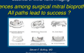TMVR VIV: Differences Among Surgical Mitral Bioprostheses – All Paths Lead to Success