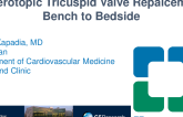 Heterotopic Tricuspid Valve Replacement: From Bench to Bedside