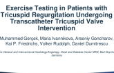 Exercise Testing in Patients with Tricuspid Regurgitation Undergoing Transcatheter Tricuspid Valve Intervention