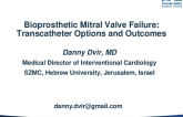 Bioprosthetic Mitral Valve Failure: Transcatheter Options and Outcomes