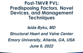Post-TMVR PVL: Predisposing Factors, Novel Devices, and Management Techniques