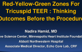 Red-Yellow-Green Zones for Tricuspid TEER: Thinking Outcome Before the Procedure