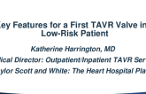 Key features for a first valve in a low-risk patient
