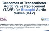 Outcomes of Transcatheter Aortic Valve Replacement for Bicuspid Aortic Valves