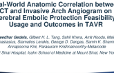 Real-World Anatomic Correlation between CT and Invasive Arch Angiogram on Cerebral Embolic Protection Feasibility, Usage and Outcomes in TAVR