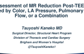 Assessment of MR Reduction Post-TEER: Guided by Color, LA Pressure, Pulmonary Vein Flow, or a Combination