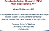 Interpreting TAVR and SAVR PPM Studies: Effects on Clinical Outcomes and Practice?