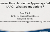Smoke Thrombus in the Appendage Before LAAO: What Are My Options?