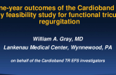 One-year outcomes of the Cardioband TR early feasibility study for functional tricuspid regurgitation