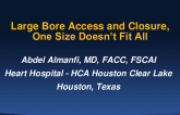 Large Bore Access and Closure - One Size Doesn't Fit All