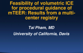 Feasibility of volumetric intracardiac echocardiography (vICE) for procedural guidance of transcatheter mitral edge-to-edge repair (mTEER): results from a multi-center registry