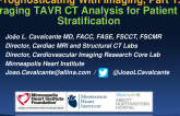 Prognosticating With Imaging, Part 1:  Leveraging TAVR CT Analysis for Patient Risk Stratification