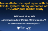 Transcatheter tricuspid repair with the PASCAL system: 30-day outcomes of the TriCLASP post-market study