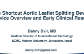 The Shortcut Aortic Leaflet Splitting Device: Device Overview and Early Clinical Results