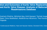 Utilization and Outcomes of Aortic Valve Replacements in Mixed Aortic Valve Disease: Analysis of Nationwide Readmissions Database