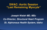 Last Remaining Myocyte: Emergency ECMO and Staged PCI + TAVR
