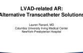 Alternative Transcatheter Solutions