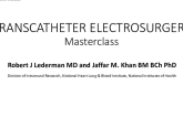 Tools, Techniques, and Strategies of Electrosurgery for SHD – Focusing on LAMPOON, BASILICA and SESAME