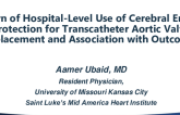 Pattern of Hospital-Level Use of Cerebral Embolic Protection for Transcatheter Aortic Valve Replacement and Association with Outcomes