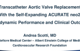 Transcatheter Aortic Valve Replacement With the Self-Expanding ACURATE neo2: Hemodynamic Performance and Clinical Outcomes