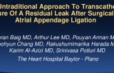 An untraditional approach to transcatheter closure of a residual leak after surgical left atrial appendage ligation
