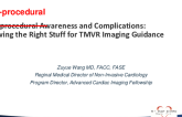 Intraprocedural Awareness and Complications: Knowing the Right Stuff for TMVR Imaging Guidance