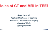 Glimpse Into the Future: Role of CT and MRI in TEER