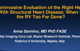 Noninvasive Evaluation of the Right Heart With Structural Heart Disease: When Is the RV Too Far Gone?