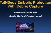 Full-Body Embolic Protection With Debris Capture