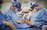 Two More Pig-to-Human Cardiac Xenotransplants Help Answer Many Unknowns
