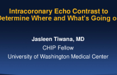 Intracoronary Echo Contrast to Determine Where and What’s Going On