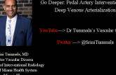 Go Deeper: Pedal Artery Interventions To Deep Venous Arterialization
