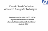 Chronic Total Occlusion: Advanced Antegrade Techniques