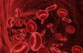 Factor XIa Inhibitors Show Potential for Safer Anticoagulation After MI, Stroke 