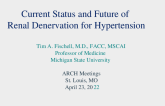Current Status and Future of  Renal Denervation for Hypertension