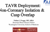 TAVR Deployment: Non-Coronary Isolation & Cusp Overlap