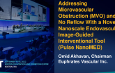 Addressing Microvascular Obstruction and No Reflow With a Novel Nanoscale Endovascular Image-Guided Interventional Tool (Pulse NanoMED)