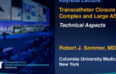 Keynote Lecture: Transcatheter Closure of Complex and Large ASDs: Technical Aspects and Device Selection