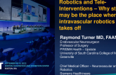 Robotics and Tele-Intervention: Why Stroke May Be the Place Where Intravascular Robotics Really Take Off
