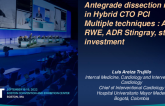 TCT 656: Antegrade dissection reentry in Hybrid CTO PCIMultiple techniques : AWE, RWE, ADR Stingray, straw, investment