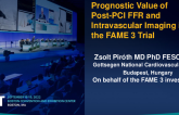 FAME 3 Substudies: Clinical Outcomes Related to Anatomic vs Functional Significance and Prognostic Value of Post-PCI FFR II