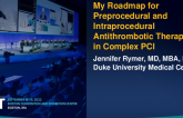My Roadmap for Preprocedure and Intraprocedural Antithrombotic Therapy in Complex PCI