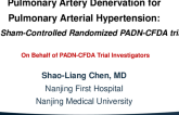 Pulmonary Artery Denervation for Pulmonary Arterial Hypertension: A Sham-Controlled Randomised Trial