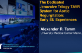 The Dedicated JenaValve TAVR System for AI: Early EU and US Experiences